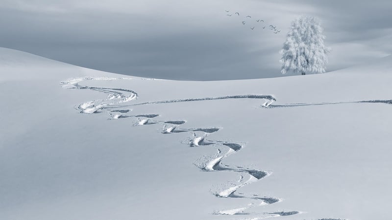 Dyatlov Pass